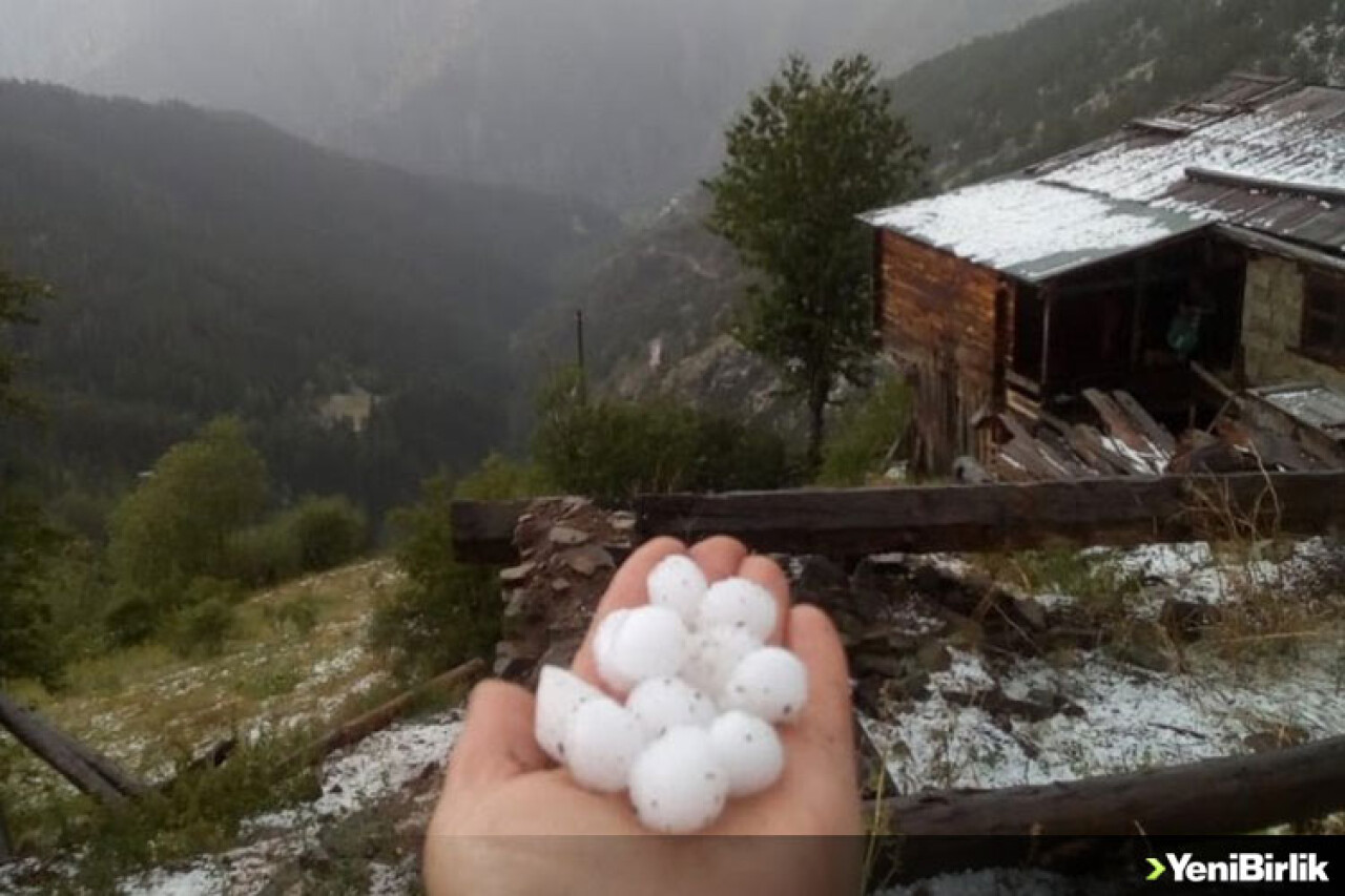 Artvin ve ilçelerinde aniden bastıran yağış kısa sürede yerini doluya bıraktı