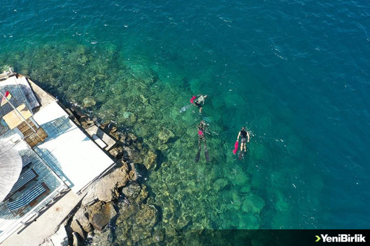 Bodrum'da dalgıçlar deniz dibinden 500 kilogram atık çıkardı