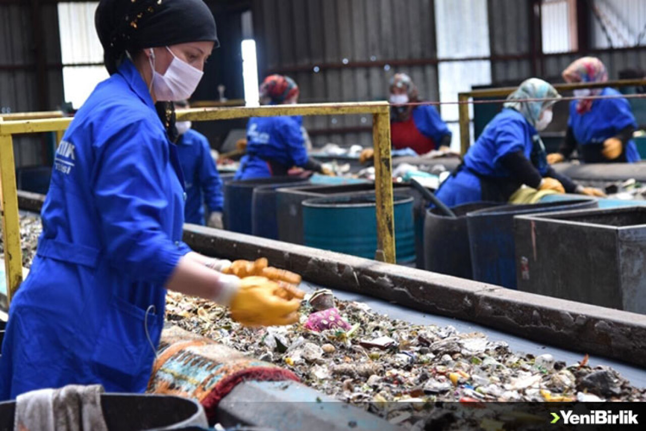 Samsun'da atıklar sıfırlandı, 319 bin ağaç kesilmekten kurtuldu