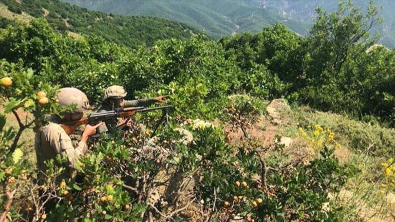 Şırnak'ta terör operasyonu: 2 terörist etkisiz hale getirildi