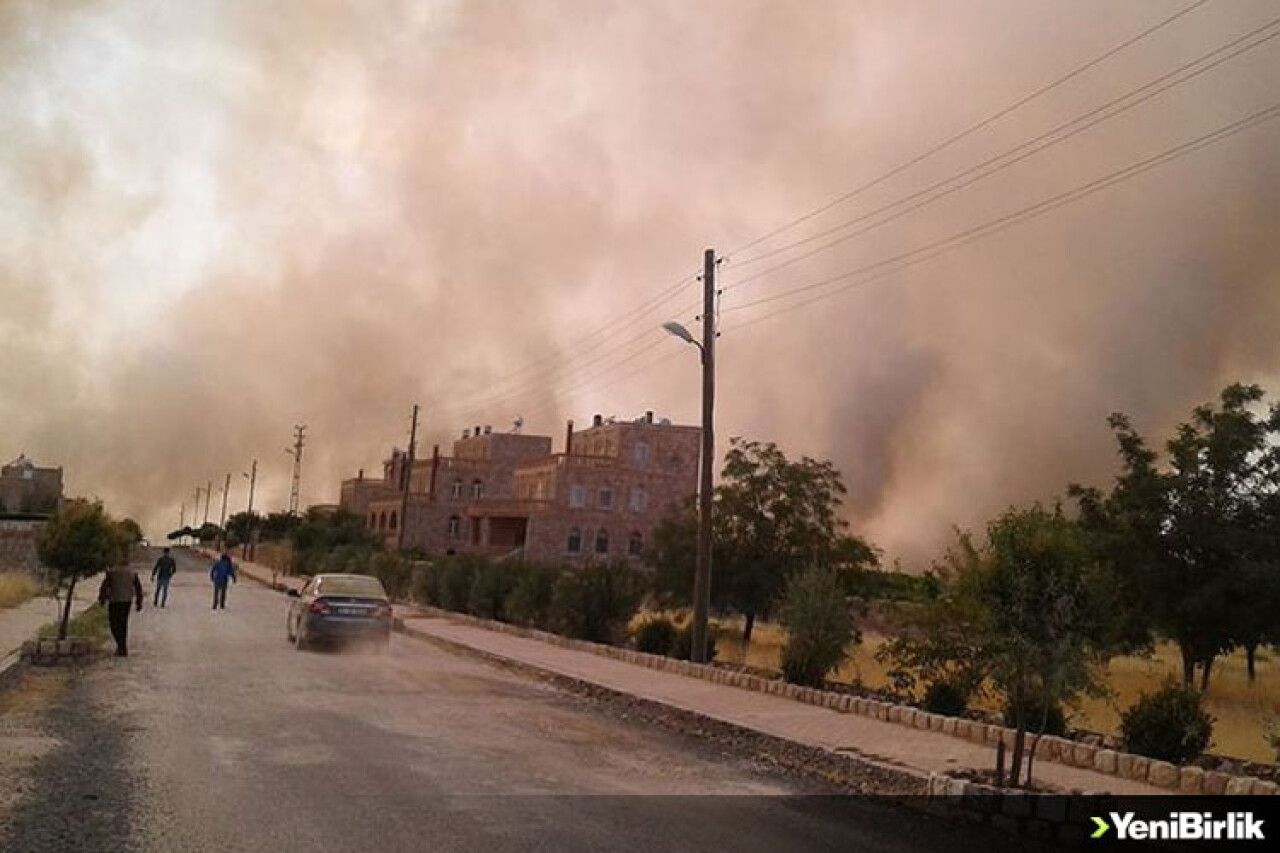 Mardin'de orman yangını