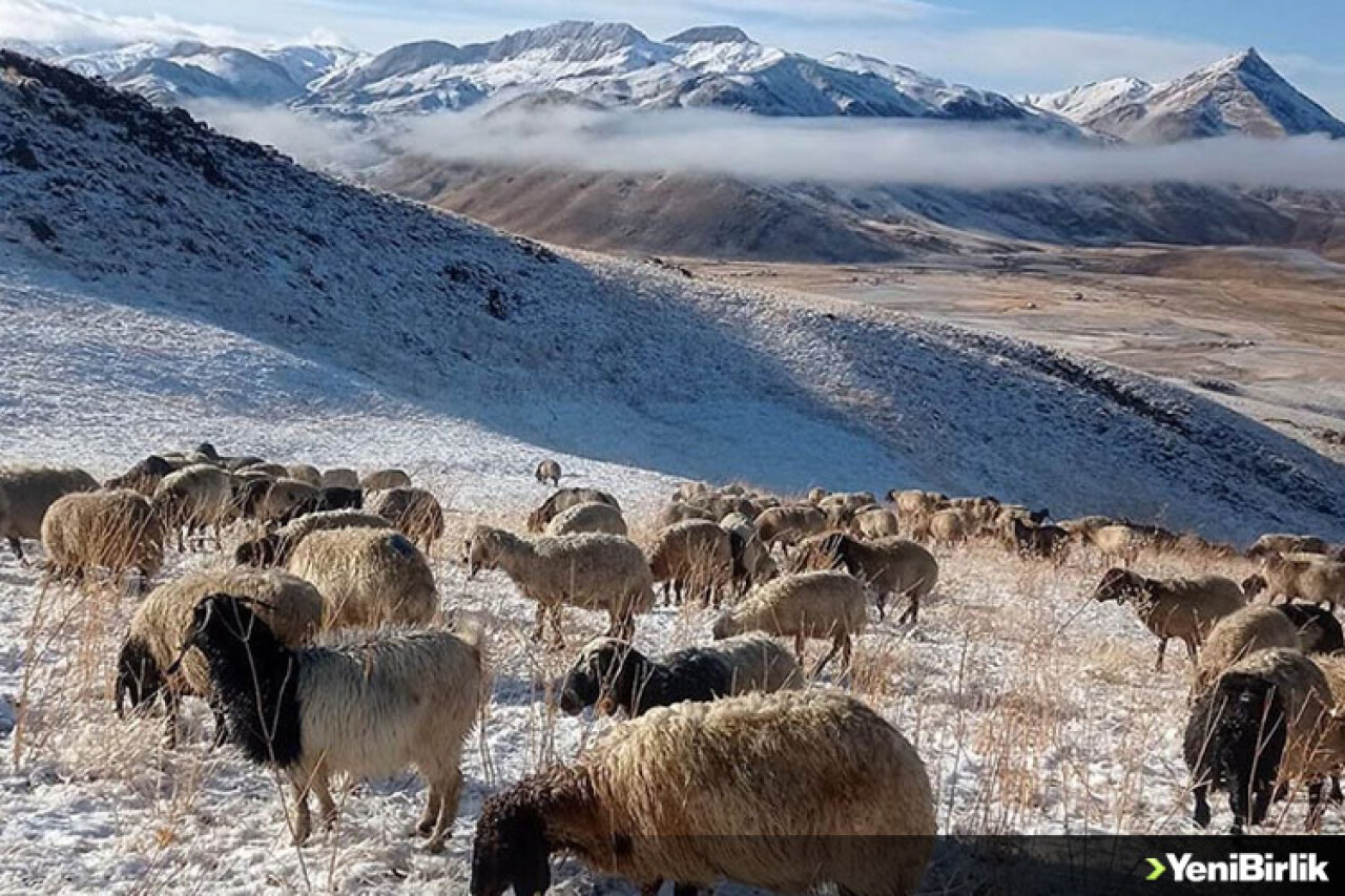 Şırnak'taki Faraşin Yaylası'na mevsimin ilk karı yağdı