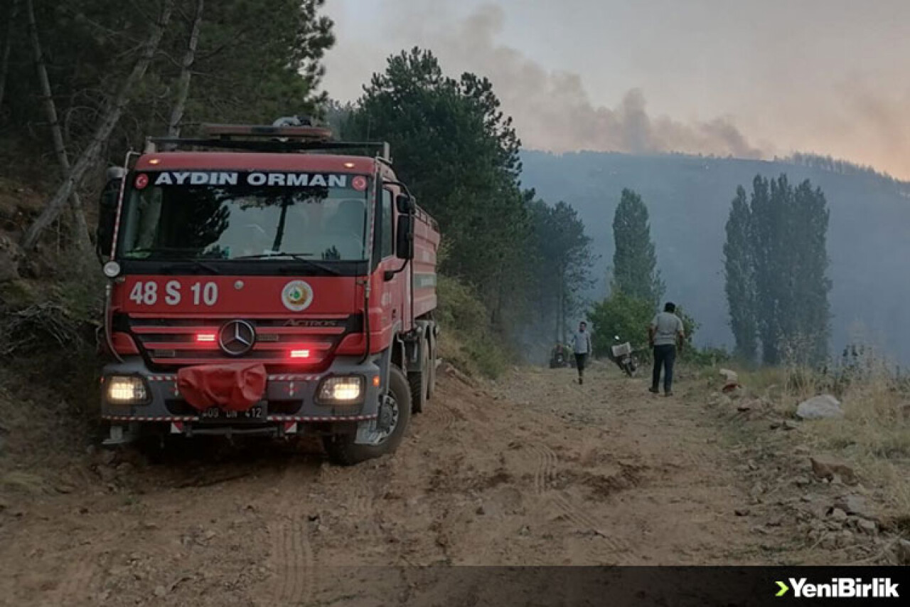 Aydın'ın Karacasu ilçesindeki orman yangınına müdahale sürüyor