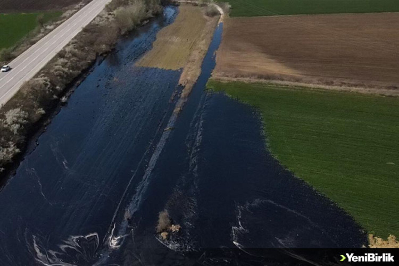 Edirne'de şantiye havuzundan sızan asfalt tarım alanına yayıldı