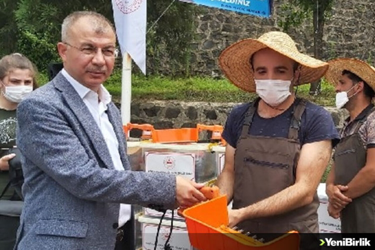 Artvin'de Çay Hasadına Yerli İş Gücü Desteği