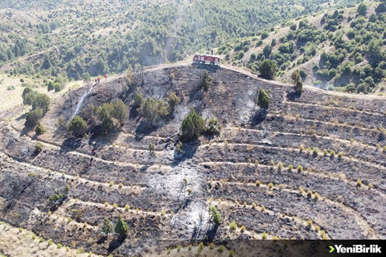 Bilecik'te makilik alanda çıkan yangın kontrol altına alındı