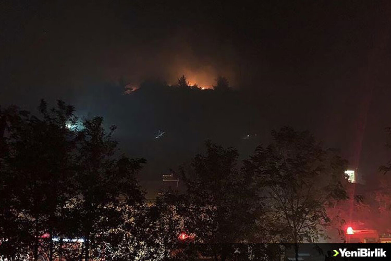 Manisa'da yangın nedeniyle bir mahalle tahliye edildi