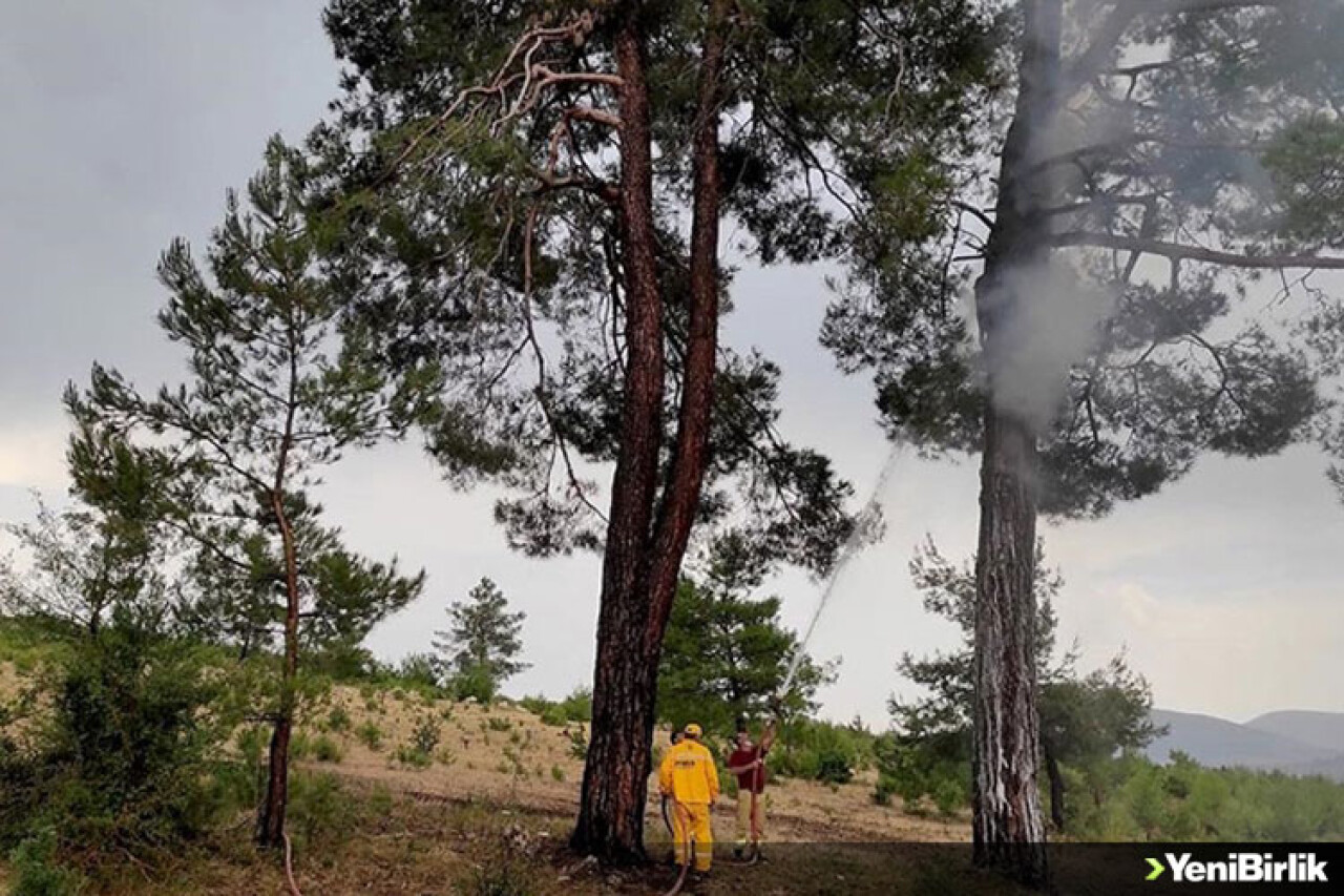 Muğla'da 3 haftada yıldırım kaynaklı 28 orman yangını çıktı