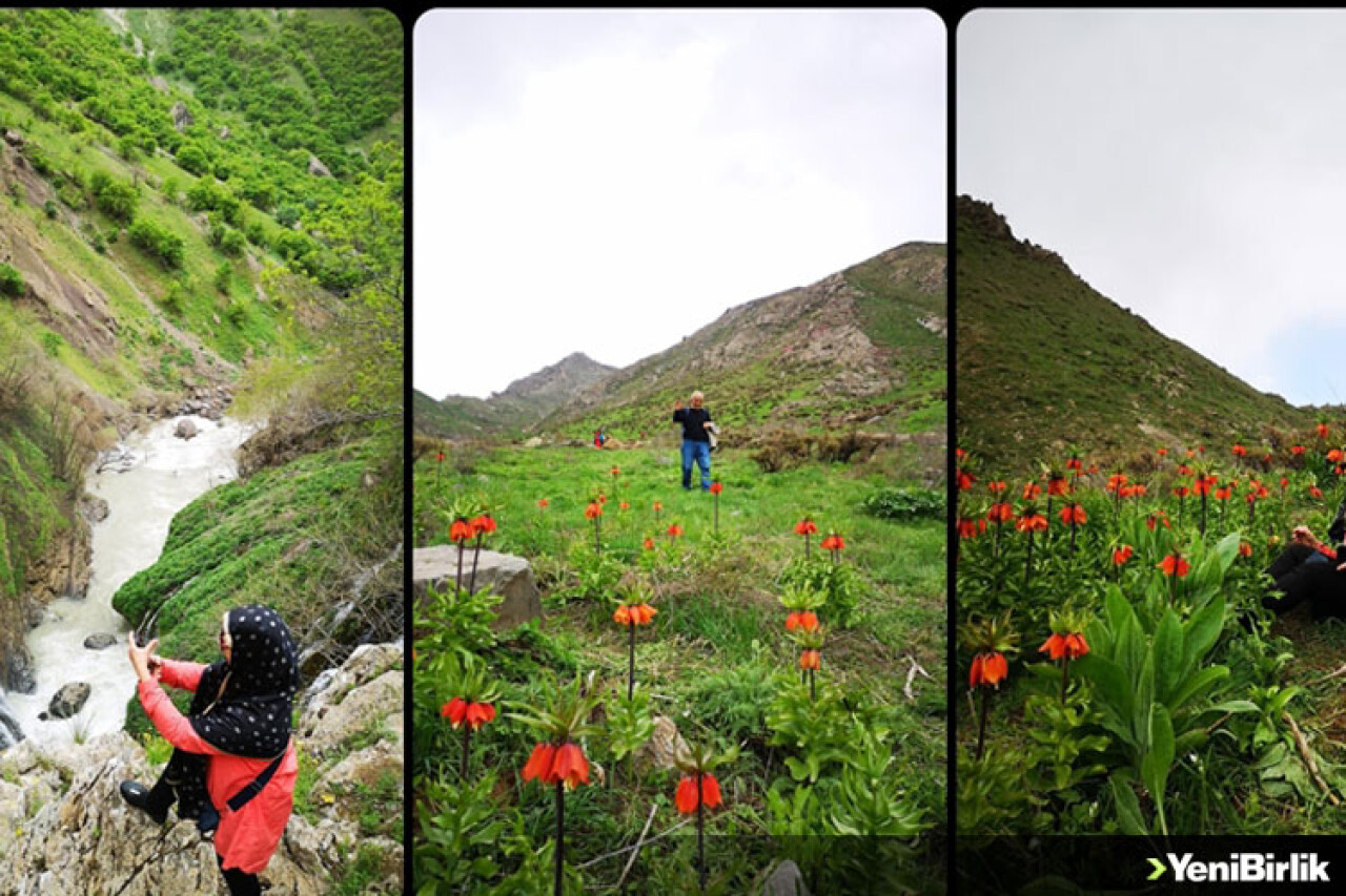 Hakkari'ye gelen doğaseverler, eşsiz doğal güzellikleri keşif gezilerine katıldı