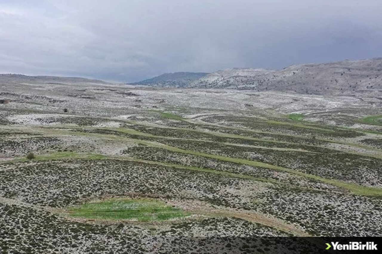 Mersin'de yaylaya yağan kar, arıcıları bal rekoltesi için umutlandırdı