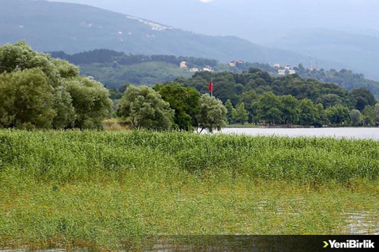 Sapanca Gölü'nde su seviyesi maksimuma yaklaştı