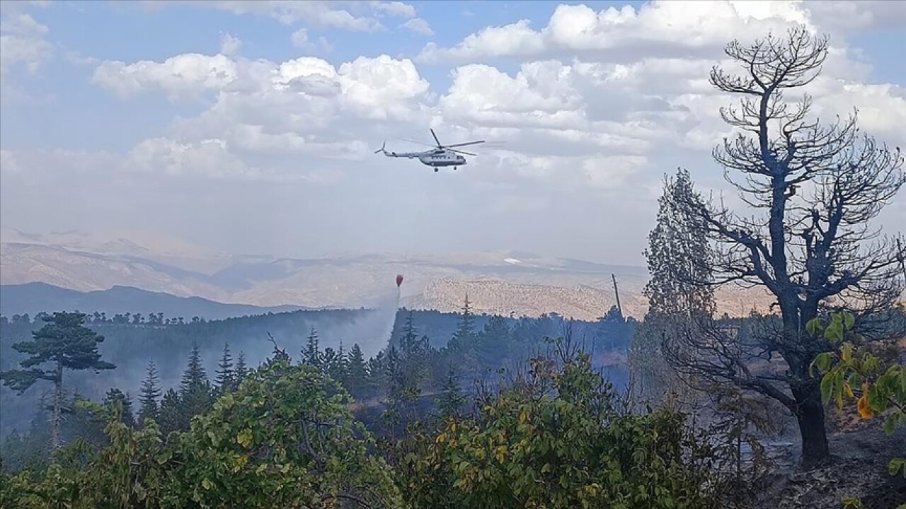 Konya'da ormanlık alanda çıkan yangın kontrol altına alındı