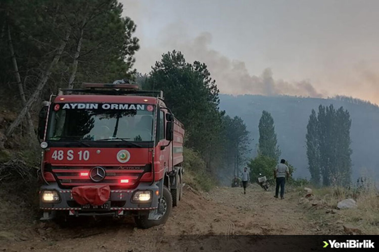 Aydın'daki orman yangını nedeniyle bir mahalle kısmen tahliye edildi