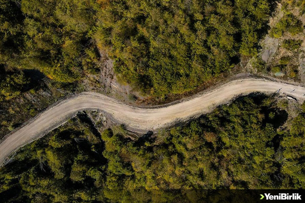 Ilgaz Dağı'nda sonbahar renkleri hakim olmaya başladı