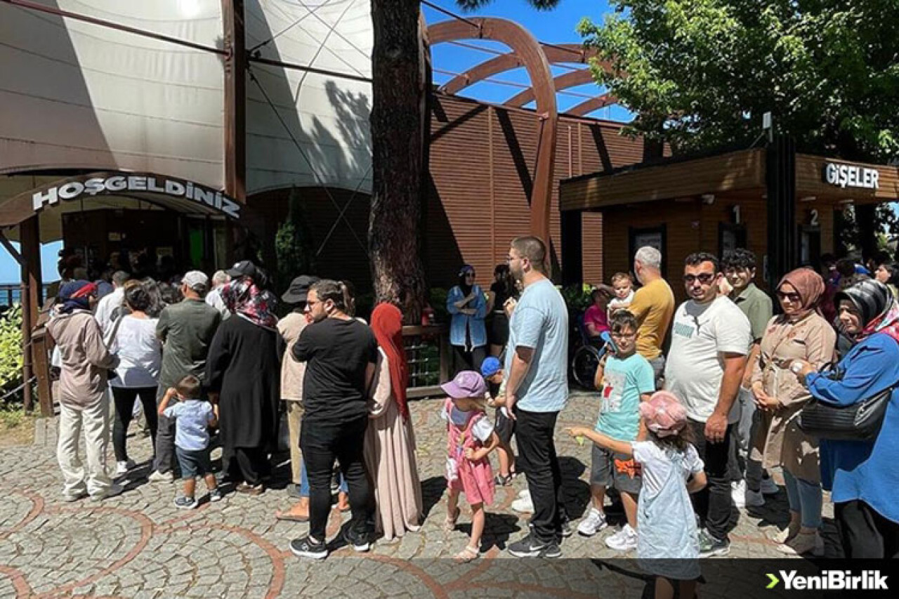 Ordu'daki teleferik Kurban Bayramı tatilinde 50 bin yolcu taşıdı