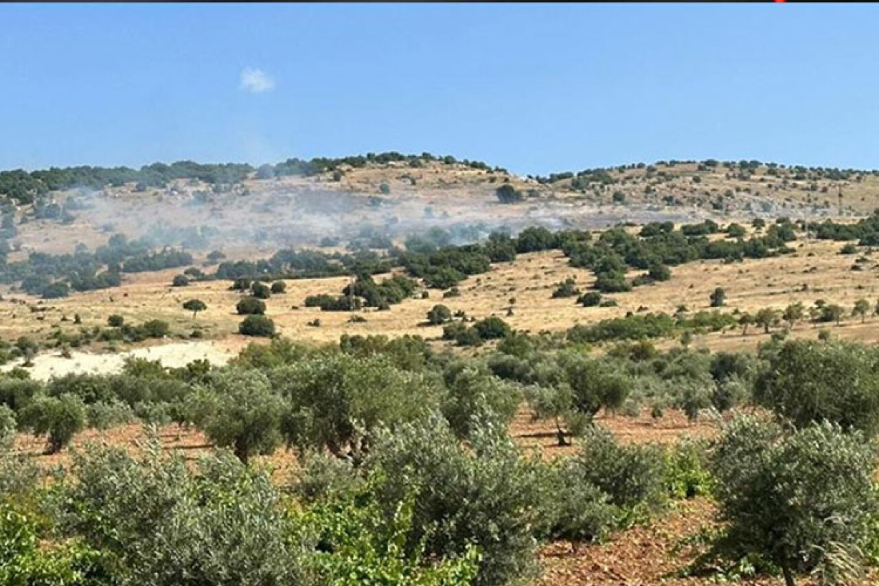 Kilis'te çıkan orman yangını söndürüldü