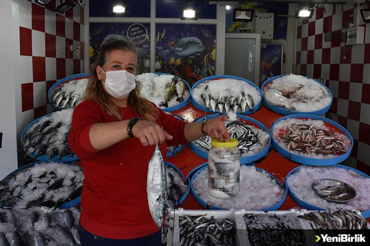 Karadeniz'de palamut salamurası sezonu başladı