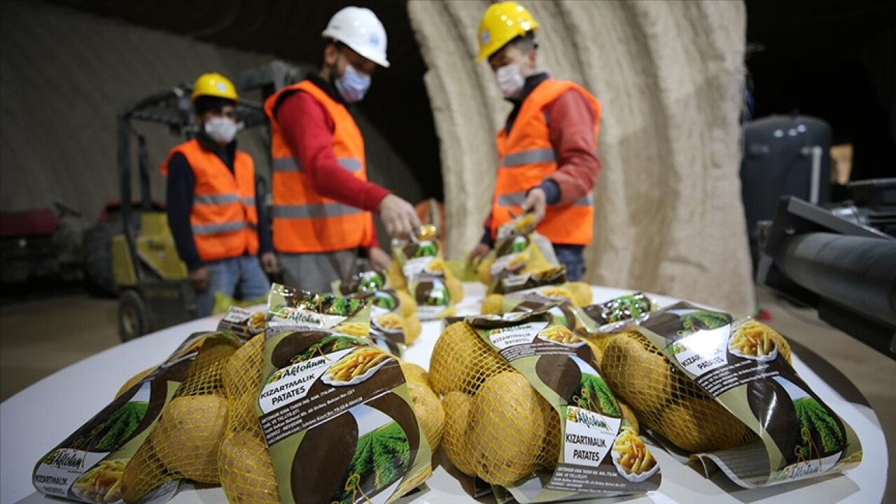 Nevşehir'de laboratuvarda analiz edilen patates pişirme amacına göre paketleniyor