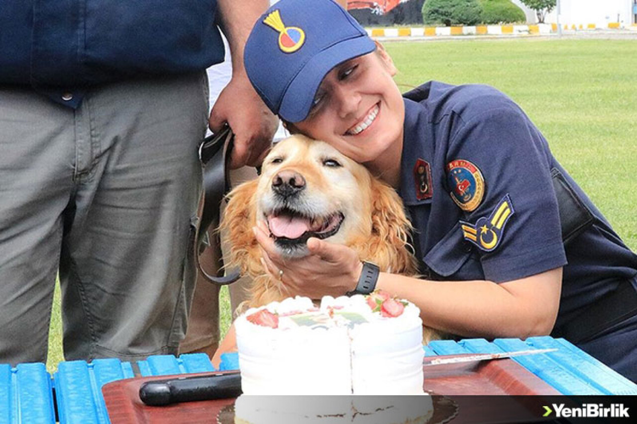 Jandarmanın arama kurtarma köpeği "Bulut" madalyasını alarak emekli oldu