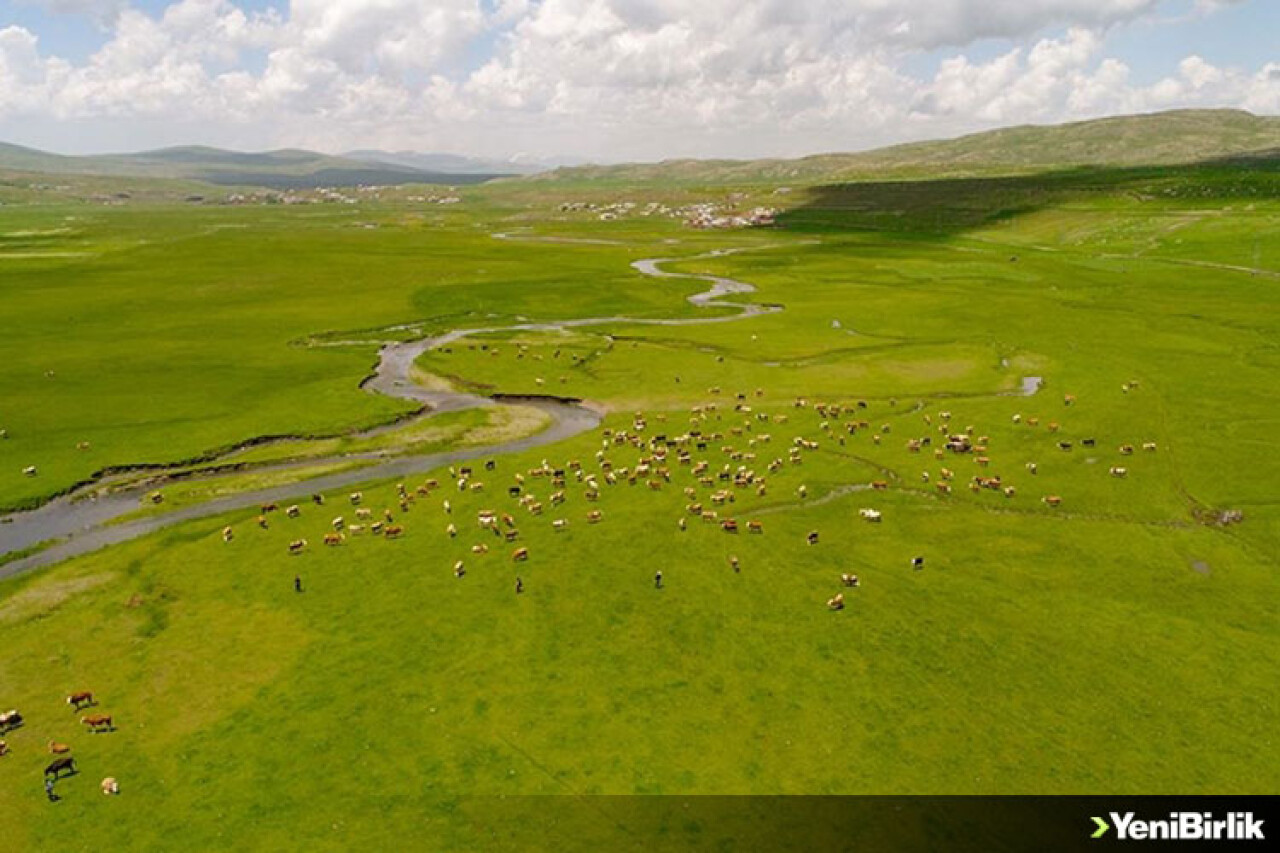 Ardahan'da menderesler havadan görüntülendi