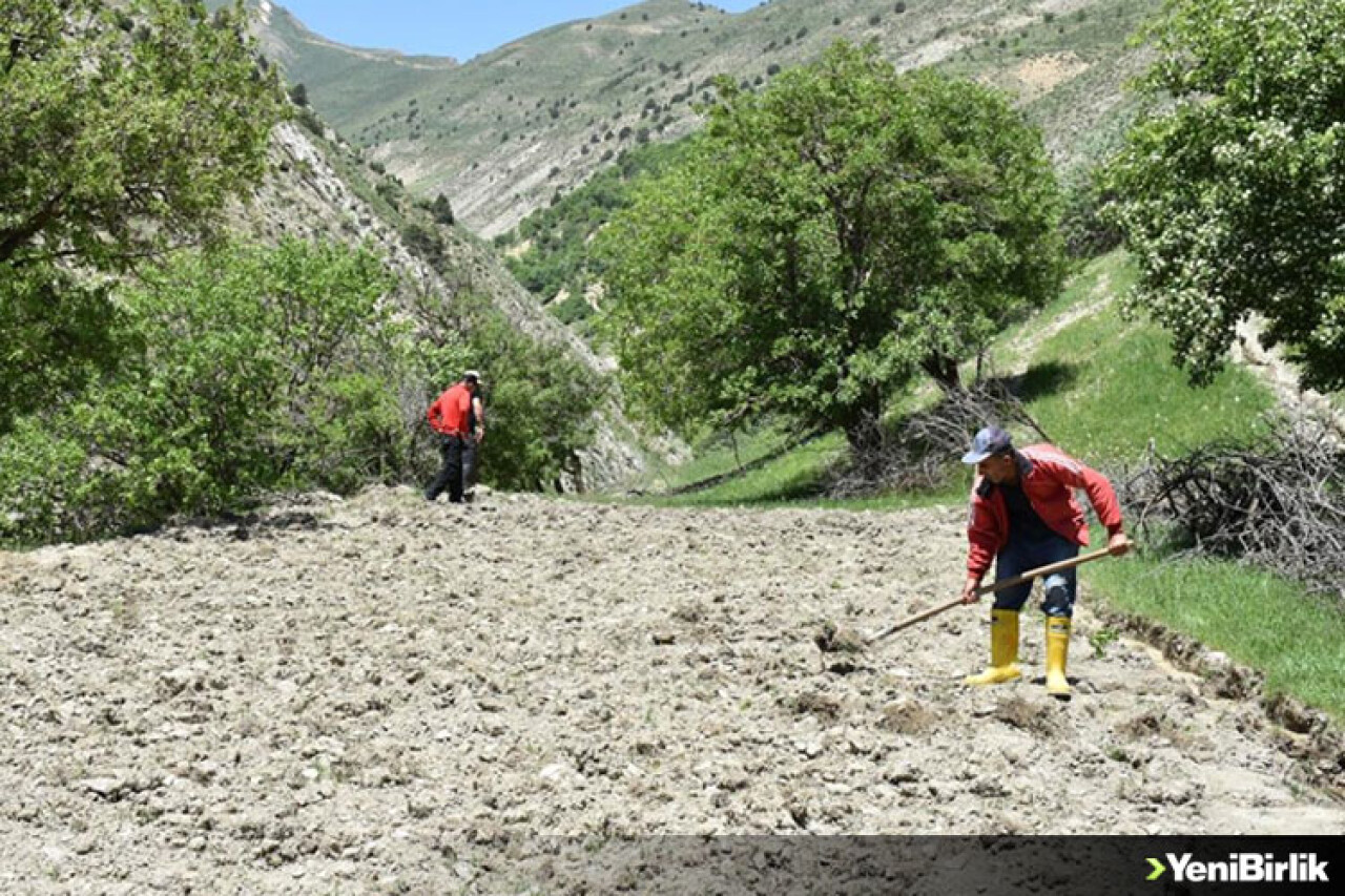 Hakkari'de 40 yıl sonra köylerine dönen vatandaşlar çifte bayram yaşadı