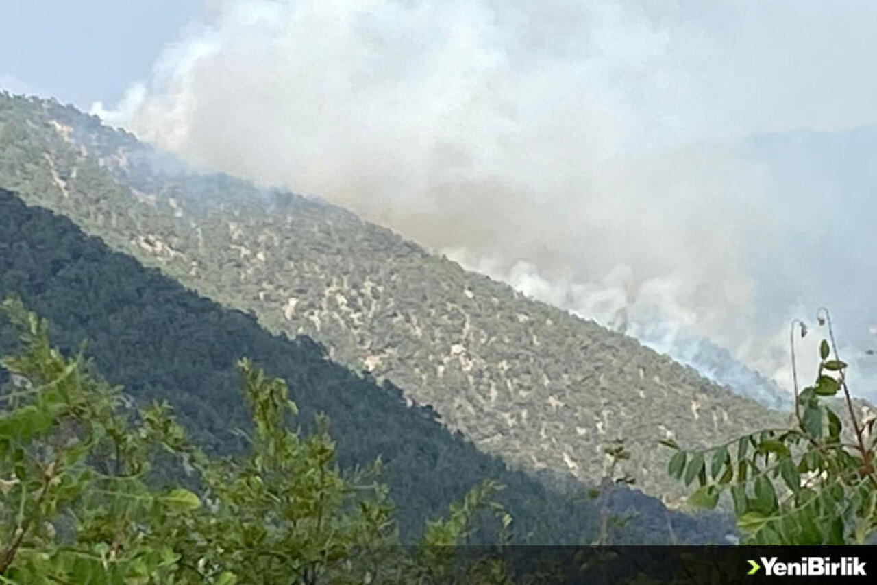 Bolu'da yıldırım düşmesi sonucu çıkan orman yangınına müdahale ediliyor