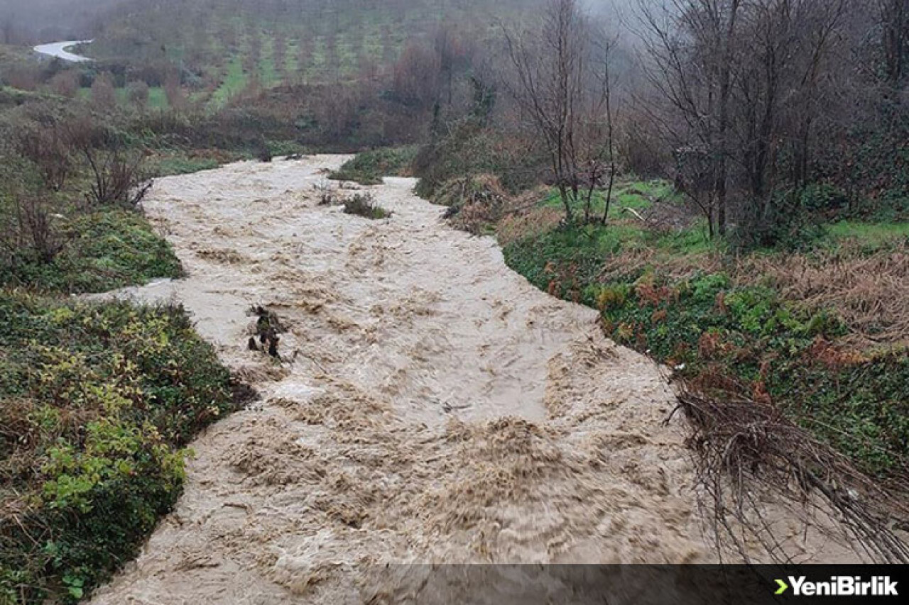 Sakarya'da sağanak nedeniyle dereler taştı