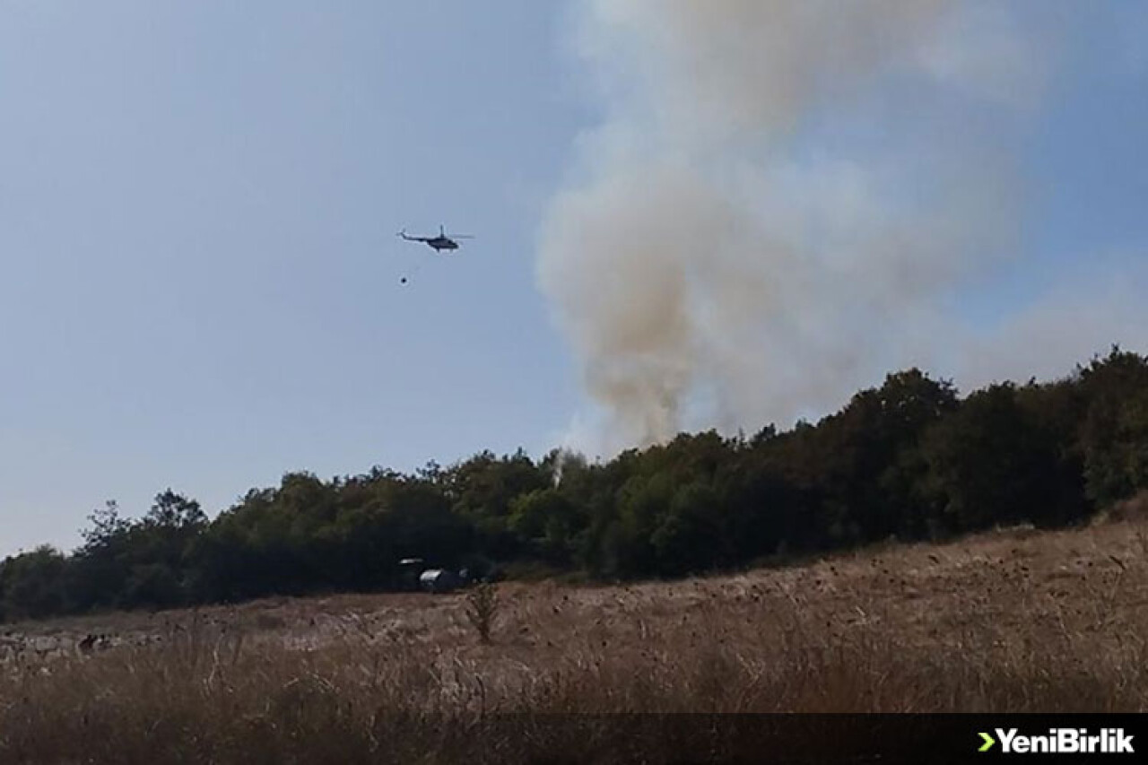 Kocaeli'de ormanlık alanda çıkan yangın kontrol altına alındı