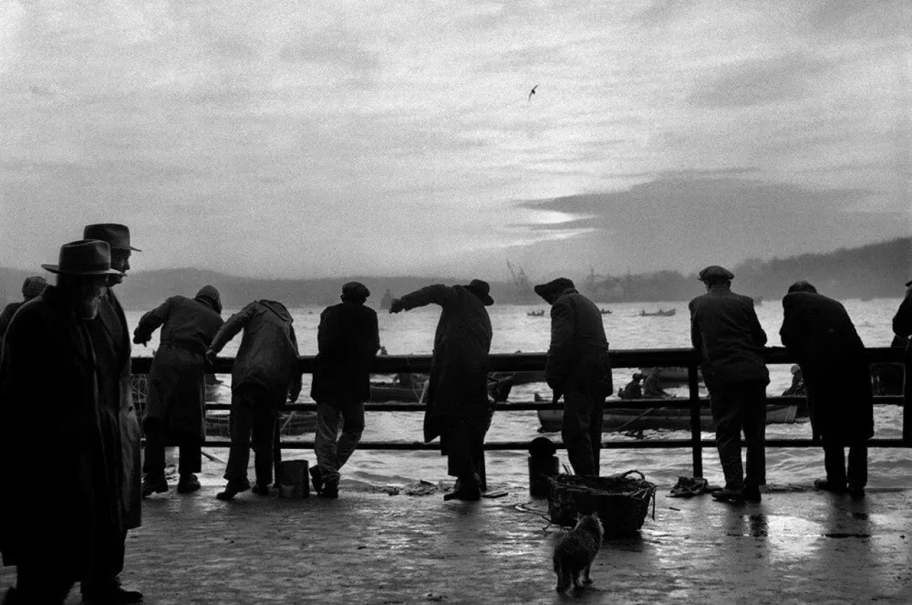 Ünlü fotoğrafçı Ara Güler'in İstanbul'u fotoğrafladığı "İstanbul Uyanıyor" sergisi açıldı 2