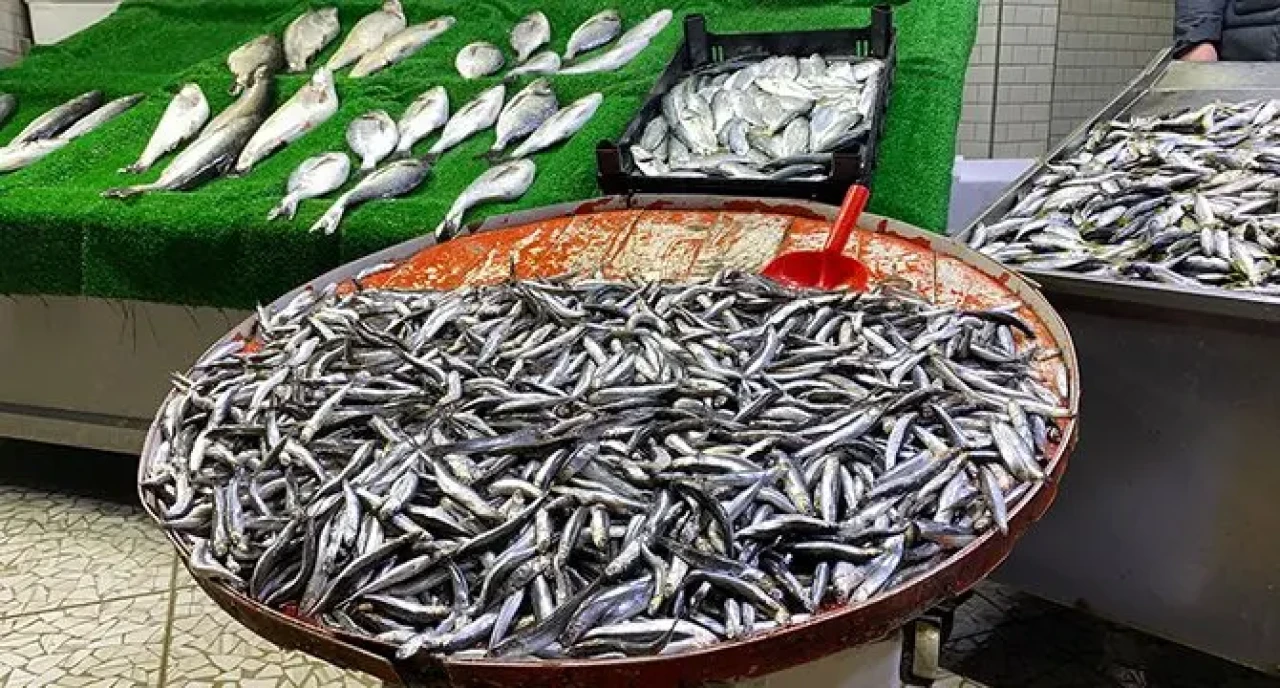 İstanbul'da hamsi fiyatları düştü, tezgahlar şenlendi! 1