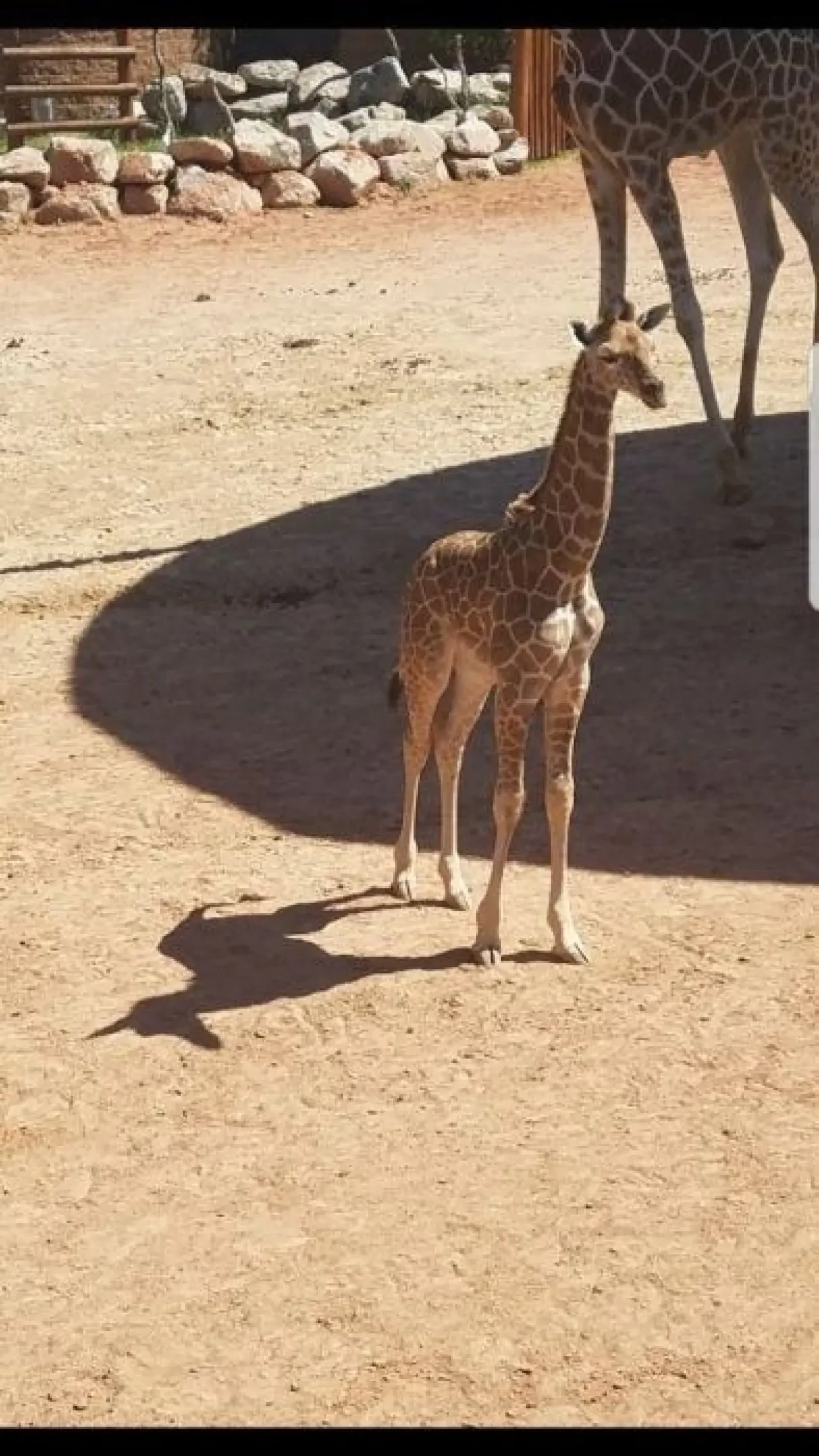 Tekrar tekrar bakacağınız fotoğraflar 34