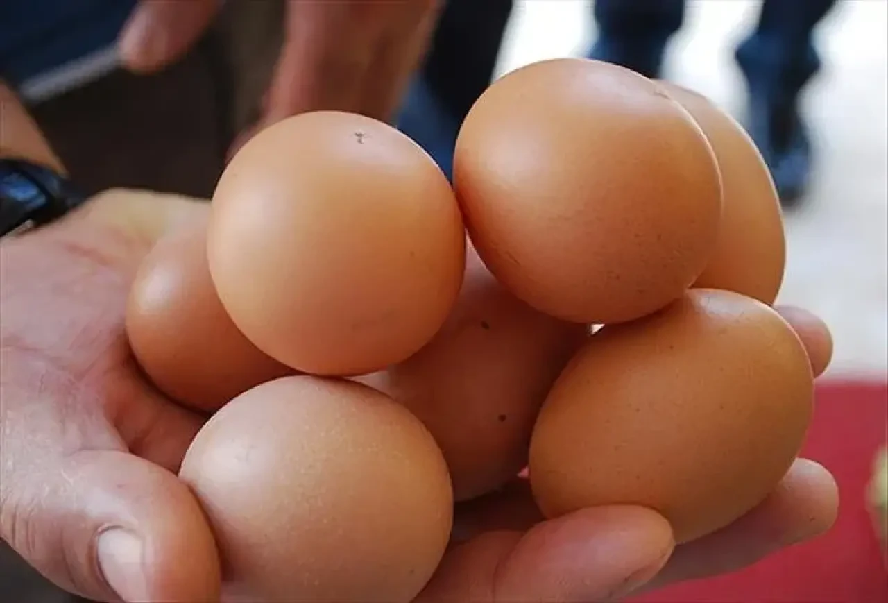 Yumurta Yiyenler Dikkat! Günde 1 Tane Tüketiyorsanız O Etkisi Ortaya Çıktı 1