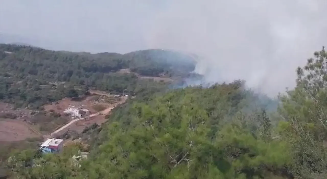 Hatay Arsuz'da Orman Yangını: Ekipler Havadan ve Karadan Seferber Oldu