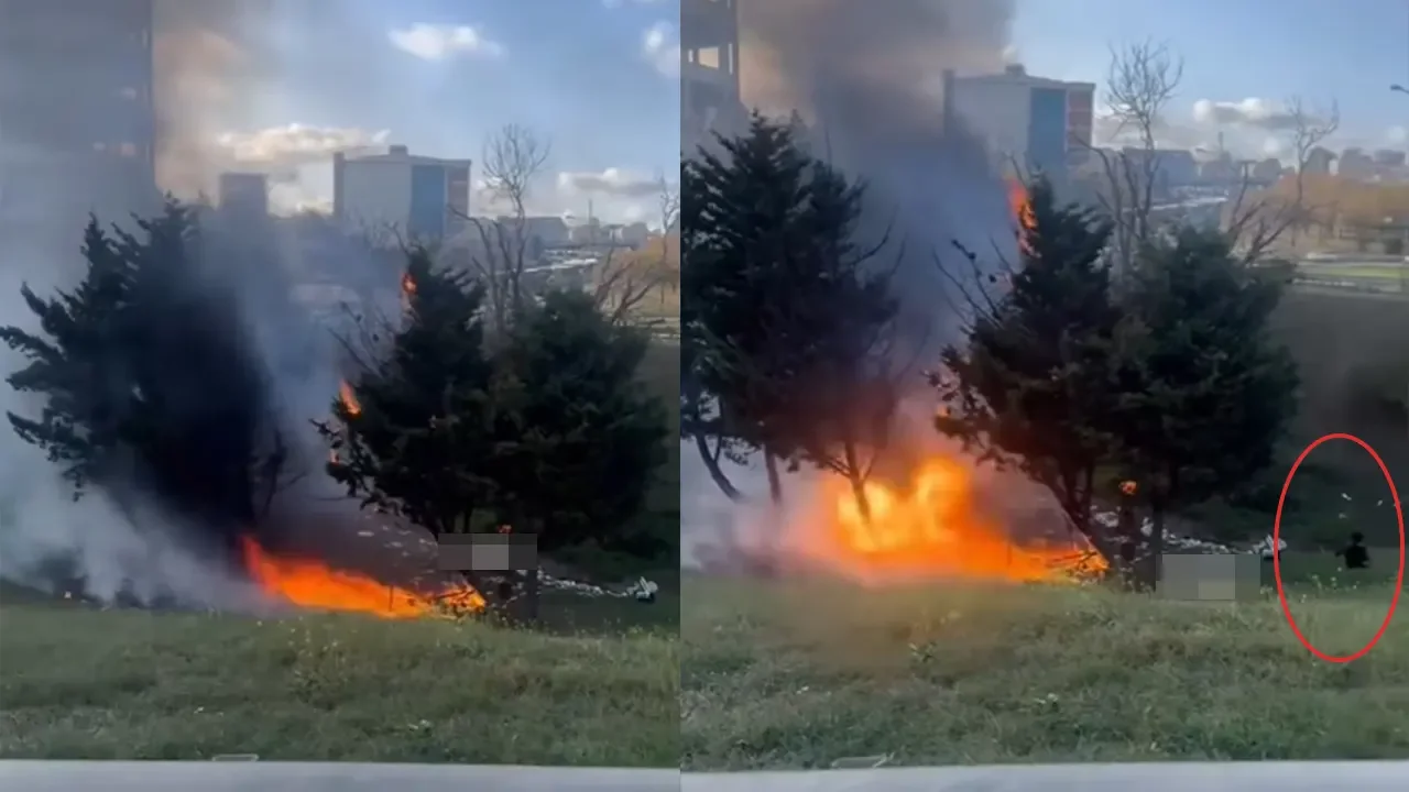 Beylikdüzü'nde yangın: Ağaçlık alanı yaktı, oturup dakikalarca izledi!