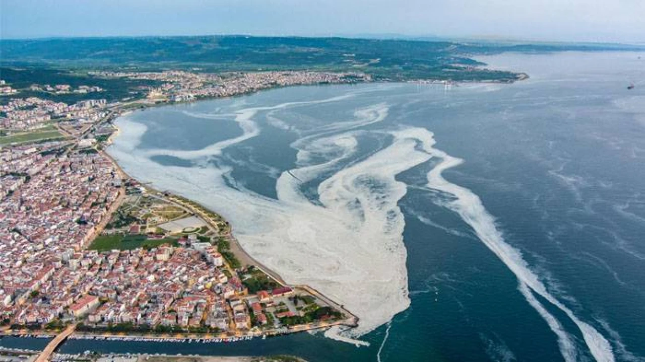 Marmara’da büyük tehlike! “Örümcek ağı gibi sardı…”