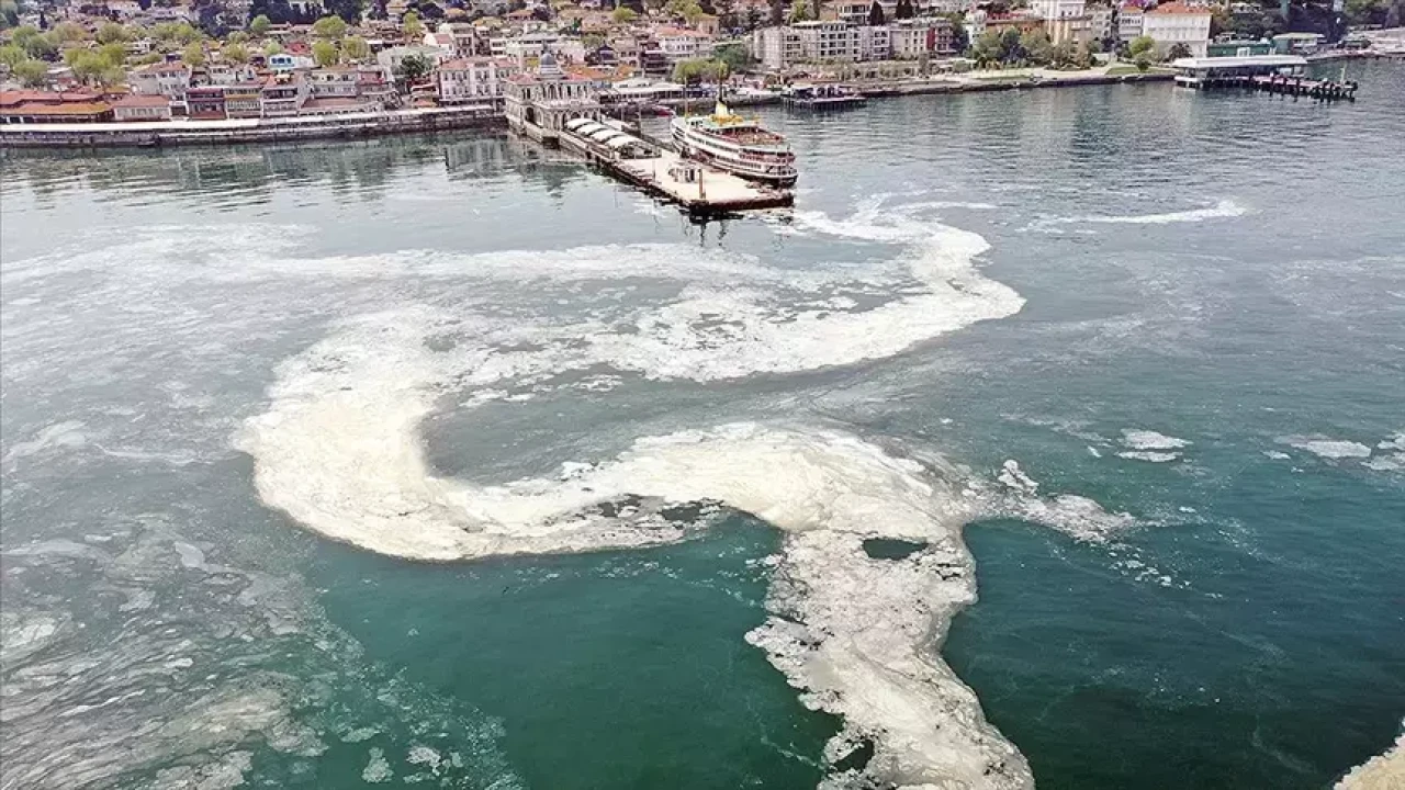 Bakanlıktan Marmara'ya kıyı 7 belediyeye müsilaj uyarısı