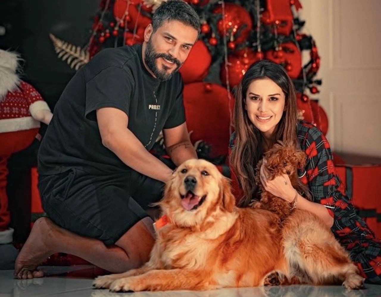 Dilan Polat'ın sahiplendiği köpek geri alındı avukatı isyan etti!