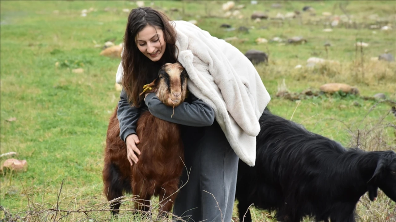 Ordu’da Genç Kadın Girişimci Üniversite Tezinden İlham Alarak Çiftlik Kurdu!