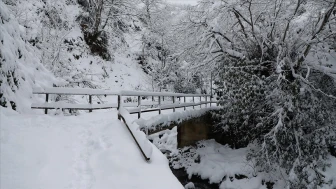 Meteoroloji'den Doğu Karadeniz’de Kuvvetli Kar Yağışı Uyarısı: Çığ, Buzlanma ve Heyelan Tehlikesi Var!