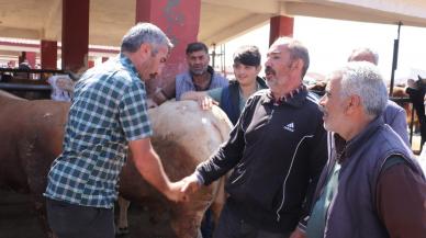 Kurban pazarı hareketlendi! İstanbul'un kurbanlıkları hangi ilden geliyor?