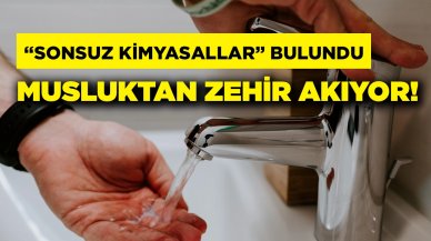 Musluk suyunda "sonsuz kimyasallara" rastlandı