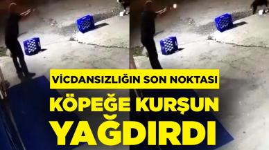 Eğlence merkezinde vahşet: Köpeğe kurşun yağdırdı