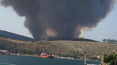 Muğla'da orman yangını