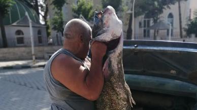 Meriç Nehri'nde ağlara takıldı: Tam tamına 2 metre boyunda