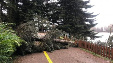 Gölcük Tabiat Parkı yeniden ziyarete açıldı