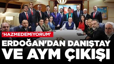 Cumhurbaşkanı Erdoğan Danıştay ve AYM'ye çıkıştı: 'Hazmedemiyorum'