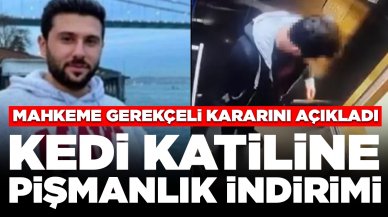 Mahkeme gerekçeli kararını açıkladı: Kedi katiline pişmanlık indirimi