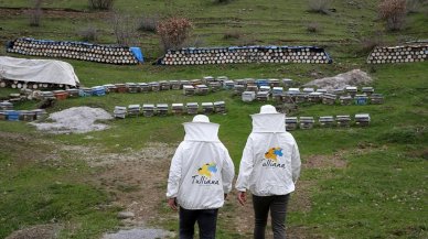 Bitlis balına uluslararası ödül