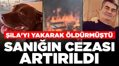 Emsal karar! Şila'yı yakarak öldürmüştü: Sanığın cezası artırıldı