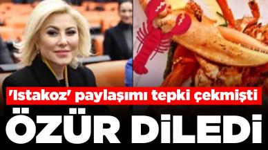 'Istakoz' paylaşımı tepki çeken AK Partili vekil özür diledi: 'Gündem değiştirme çabası...'